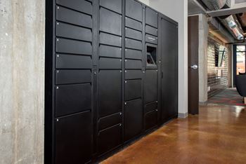 Luxer one package system